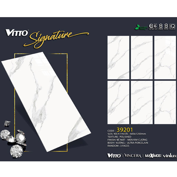 gach-op-lat-vitto-60x120-39201-2