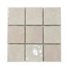 gach-op-tuong-tq-10x10cm-ds1001g-men-bong
