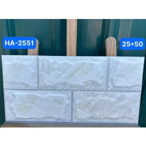 gach-op-tuong-viglacera-25x50-ha-2551