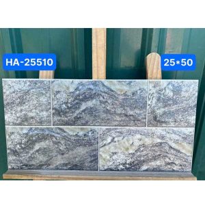 gach-op-tuong-viglacera-25x50-ha-25510