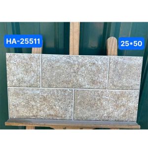 gach-op-tuong-viglacera-25x50-ha-25511