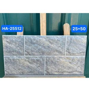 gach-op-tuong-viglacera-25x50-ha-25512-1