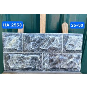 gach-op-tuong-viglacera-25x50-ha-2553-1