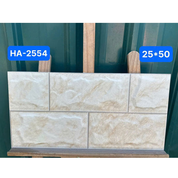 gach-op-tuong-viglacera-25x50-ha-2554-1