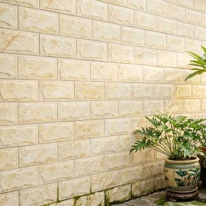 gach-op-tuong-viglacera-25x50-ha-2554-2