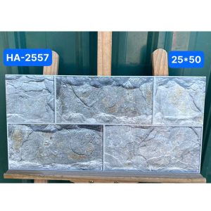 gach-op-tuong-viglacera-25x50-ha-2557-1