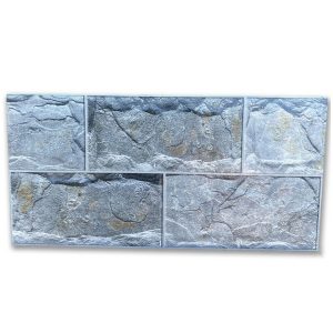 gach-op-tuong-viglacera-25x50-ha-2557
