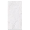 gach-taicera-60x120-gp12l58jw-men-bong
