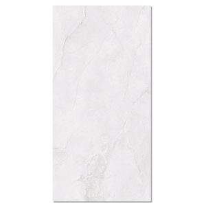 gach-taicera-60x120-gp12l58jw-men-bong