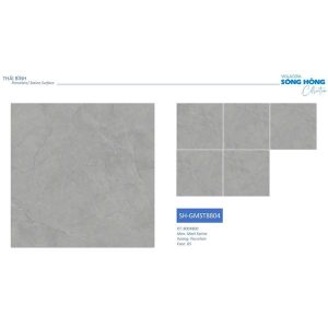 gach-lat-nen-viglacera-80x80-sh-gmst8804