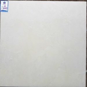 gach-op-lat-viglacera-60x60-m6005-1
