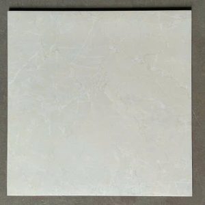 gach-op-lat-viglacera-60x60-m6005-3
