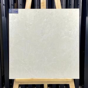 gach-op-lat-viglacera-60x60-m6005