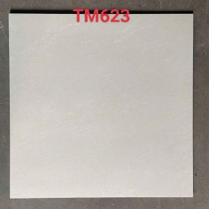 gach-op-lat-viglacera-60x60-tm-623