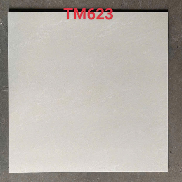 gach-op-lat-viglacera-60x60-tm-623