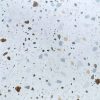 gach-terrazzo-60x60cm-s6038-1
