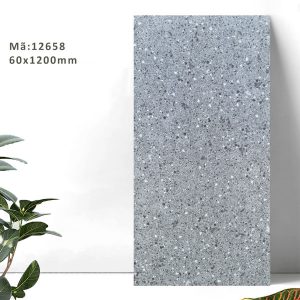 gach-terrazzo-tq-60x120-12658ds-2