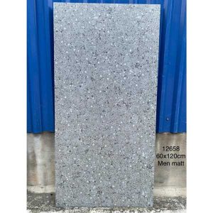 gach-terrazzo-tq-60x120-12658ds-3