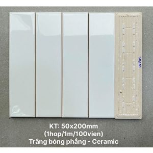 gach-the-vn-psta50200-ds-5x20-bong-phang