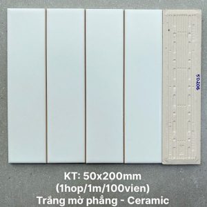 gach-the-vn-psta50206-ds-5x20-mo-phang