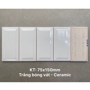 gach-the-vn-psta75150-b-ds-7-5x15-bong-vat