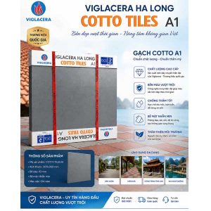 gach-lat-san-cotto-viglacera-ha-long-30x30-loai-a1