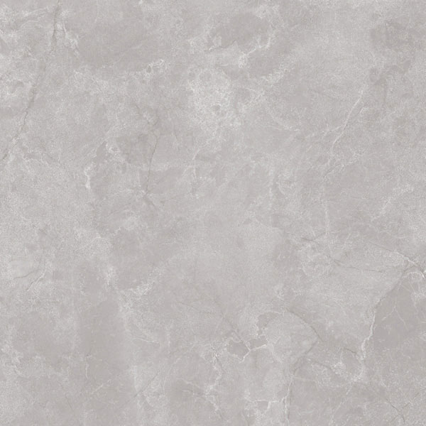 Gach-Eurotile-NHC-S03H Gach-Eurotile-NHC-S03H