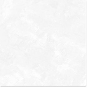 gach-lat-nen-eurotile-dni-s01p-120x120cm