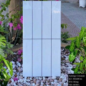 gach-op-tuong-trung-quoc-30x60cm-6830a-cla