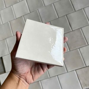 gach-the-shija-10x10cm-m1101g-bong-luon-1