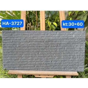 gach-trang-tri-tq-30x60-ha-3727