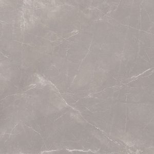 gach-van-da-eurotile-80x80-tra-e03-tra-e03p-2