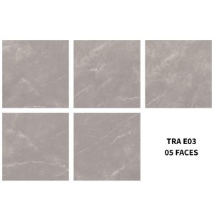 gach-van-da-eurotile-80x80-tra-e03-tra-e03p