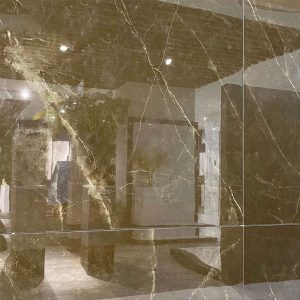 gach-van-da-eurotile-80x80-tra-e04p-men-bong