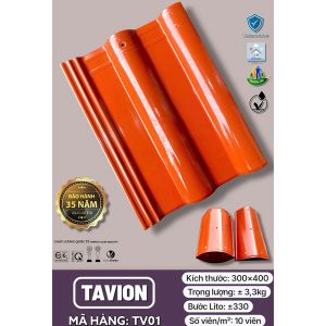 ngoi-song-trang-men-takao-tavion-tv01