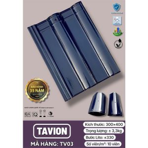 ngoi-song-trang-men-takao-tavion-tv03