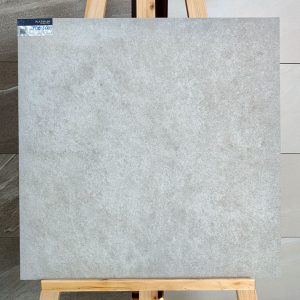 gach-lat-san-eurotile-60x60-pt20-g6602-day-2cm