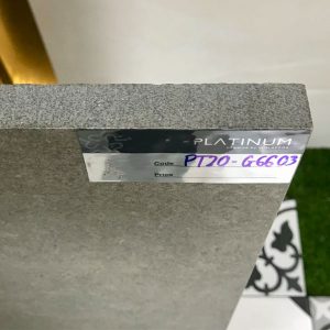 gach-lat-san-eurotile-60x60-pt20-g6603-day-2cm-1