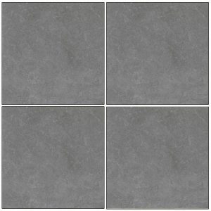gach-lat-san-eurotile-60x60-pt20-g6603-day-2cm-3