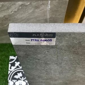 gach-lat-san-eurotile-60x60-pt20-g6605-day-2cm-1